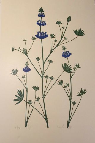 Signed Henry Evans Print - Lupine 165/240 1981 Linocut