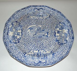 Rare Vintage Chinese Bird Blue & White Adams Round Chop Plate 12 3/4 " Platter