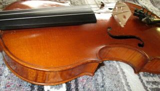 Rare Fine Old Antique 1900 Vintage German Master From Lintz 4/4 Violin - Solo Tone 6