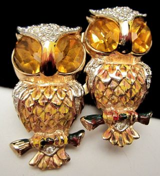 Rare Vtg 2 " Signed Coro Enamel Amber Rhinestone Owl Brooch Fur Clips Duette A12