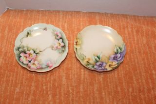 Two Great Vintage Hand Painted Porcelain Plate Bavaria 6 "