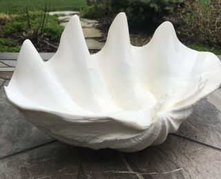 Mid - Century Modern Vintage Glazed Natural Giant Clam Shell Nautical 17 