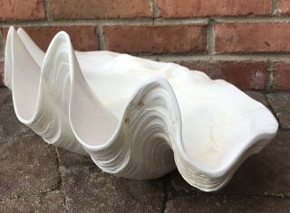 Mid - Century Modern Vintage Glazed Natural Giant Clam Shell Nautical 17 