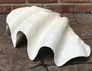 Mid - Century Modern Vintage Glazed Natural Giant Clam Shell Nautical 17 