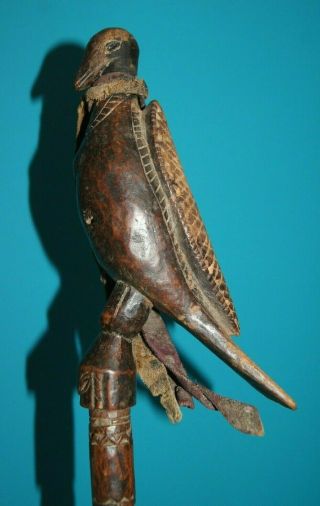 Rare Antique 19th C Nepalese Tibetan Carved Wooden Bird Phurba Shaman 