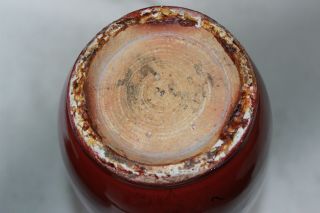 sang de boeuf chinese porcelain vase pottery 19th c century monochrome antique 11
