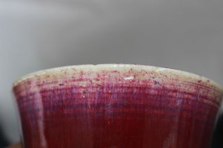 sang de boeuf chinese porcelain vase pottery 19th c century monochrome antique 8