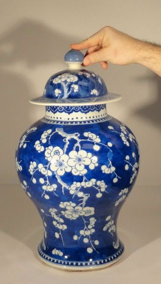 Antique Chinese Underglaze Blue and White Baluster Jar Vase Kangxi Period 2