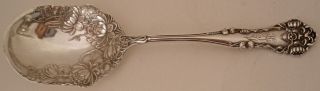 Rare Art Nouveau Cleone Pattern Water Lillies Sterling Jelly Spoon C.  1905