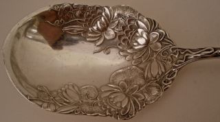 RARE ART NOUVEAU CLEONE PATTERN WATER LILLIES STERLING JELLY SPOON C.  1905 3