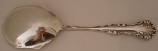 RARE ART NOUVEAU CLEONE PATTERN WATER LILLIES STERLING JELLY SPOON C.  1905 5