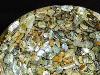 VINTAGE PLYMPTON ' S ORG ABALONE & MOTHER OF PEARL SEA SHELL HANDMADE BOWL 3