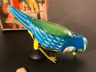 1950 ' s U.  S.  Zone Gescha Germany Tin Windup Toy Tak Tak Pecking Bird 4