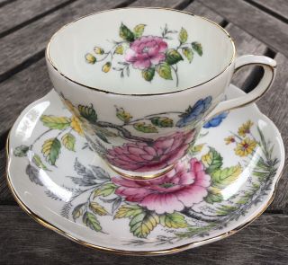 Eb 1850 Foley Peony Pink Blue Yellow Flowers Tea Cup Saucer Bone China England