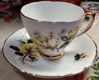 Vintage Delphine Bone China England Tea Cup & Saucer White W/yellow Flowers