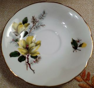 Vintage Delphine Bone China England Tea Cup & Saucer White w/Yellow Flowers 3