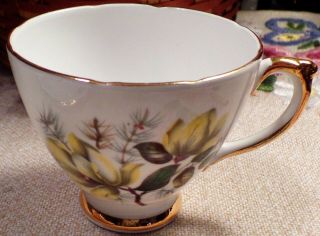Vintage Delphine Bone China England Tea Cup & Saucer White w/Yellow Flowers 4