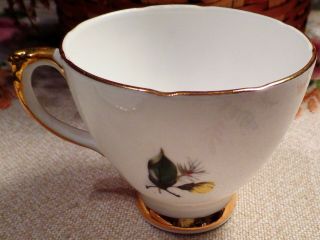 Vintage Delphine Bone China England Tea Cup & Saucer White w/Yellow Flowers 5