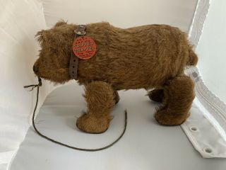 1920’s Rare Vintage Bing Bear