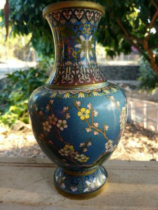 Chinese Cloisonne Vase Brass Blue W Black Bird,  Peonies,  Plum Blossoms 10.  5 "