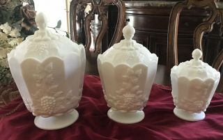 Westmoreland Paneled Grape Milk Glass Vintage 3pc.  Canister Set “rare And Mint”