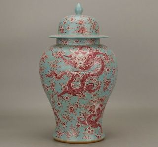 15  Chinese Underglaze Red Porcelain Flowers And Plants Dragon Desor Vase Jar