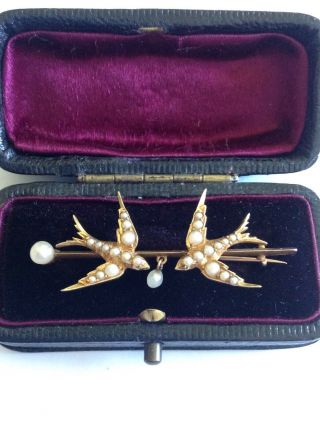 Delightful Fine Quality Victorian 15ct Gold & Seed Pearl Set Swallows Brooch
