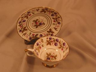 Footed Cup & Saucer Set Golden Bramble (3 Gold Lines) By Royal Stafford