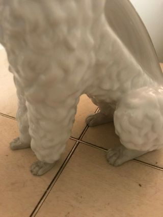LLADRO POODLE 325.  13 OLD & VERY RARE DOG FAST $2800 11