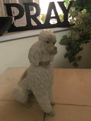 LLADRO POODLE 325.  13 OLD & VERY RARE DOG FAST $2800 2