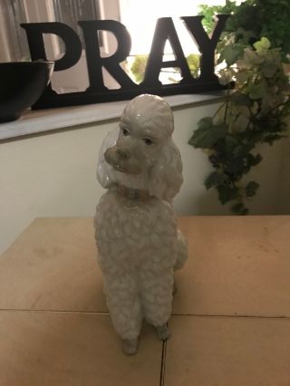 LLADRO POODLE 325.  13 OLD & VERY RARE DOG FAST $2800 4