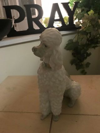 LLADRO POODLE 325.  13 OLD & VERY RARE DOG FAST $2800 8