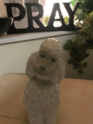 LLADRO POODLE 325.  13 OLD & VERY RARE DOG FAST $2800 9