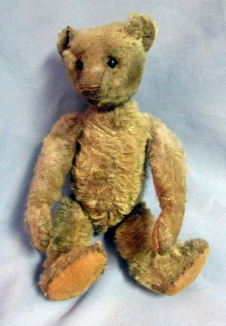 Teddy Bear,  Steiff,  Early Antique 12 " No Button