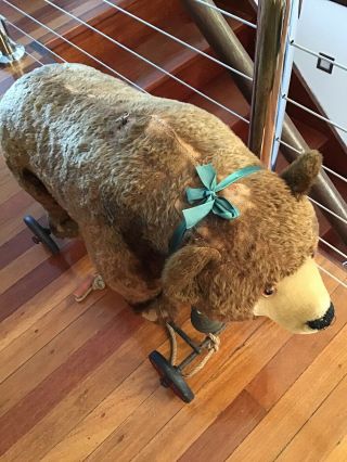 Antique Steiff Bear On Wheels Huge Remains Us Zone Flag On Leg Germany L 60 Cm