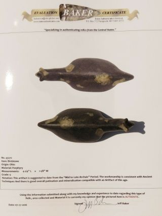Ultra Rare Museum Quality Ohio Porphyry Popeyed Slug Snail Type Birdstone