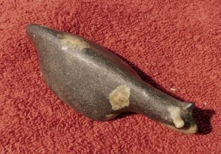 ULTRA RARE MUSEUM QUALITY OHIO PORPHYRY POPEYED SLUG SNAIL TYPE BIRDSTONE 6