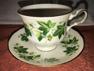 Vintage Queen Anne English Bone China Tea Cup And Saucer Ridgway Potteries
