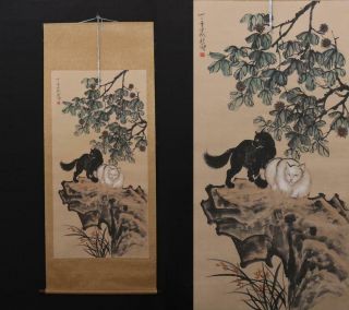 Fine Old Chinese Hand - Painting Painting Scroll Xu Beihong Marked - Cat