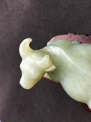 Vintage Or Antique Chinese Carved Jade Ox Cattle Bull A/f 3