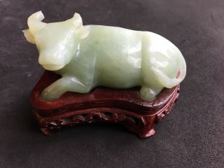 Vintage Or Antique Chinese Carved Jade Ox Cattle Bull A/f 5