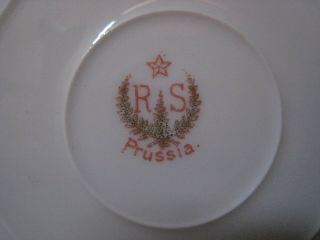 Antique RS Prussia Porcelain Portrait Plate KeyHole Summer Season Art Nouveau 6