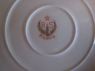 Antique RS Prussia Porcelain Portrait Plate KeyHole Summer Season Art Nouveau 9