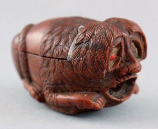 18thc Antique English Carved Wood Character Snuffbox Dog W/ Human Face & Snake