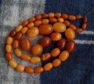 Antique Natural Honey Amber Graduated Polished Bead Necklace