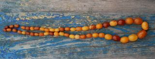Antique Natural Honey Amber Graduated Polished Bead Necklace 3