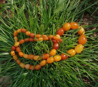 Antique Natural Honey Amber Graduated Polished Bead Necklace 4