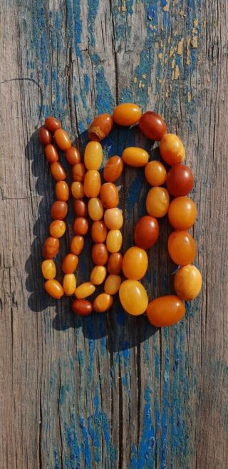 Antique Natural Honey Amber Graduated Polished Bead Necklace 6