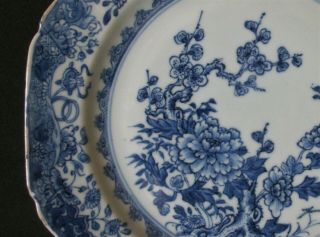 23cm CHINESE 18th C YONGZHENG BLUE AND WHITE FLORAL PLATE DISH VASE 2 3