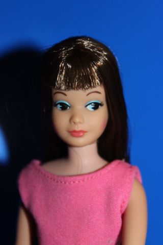 Vintage Barbie Japanesse Side Glancing Skipper